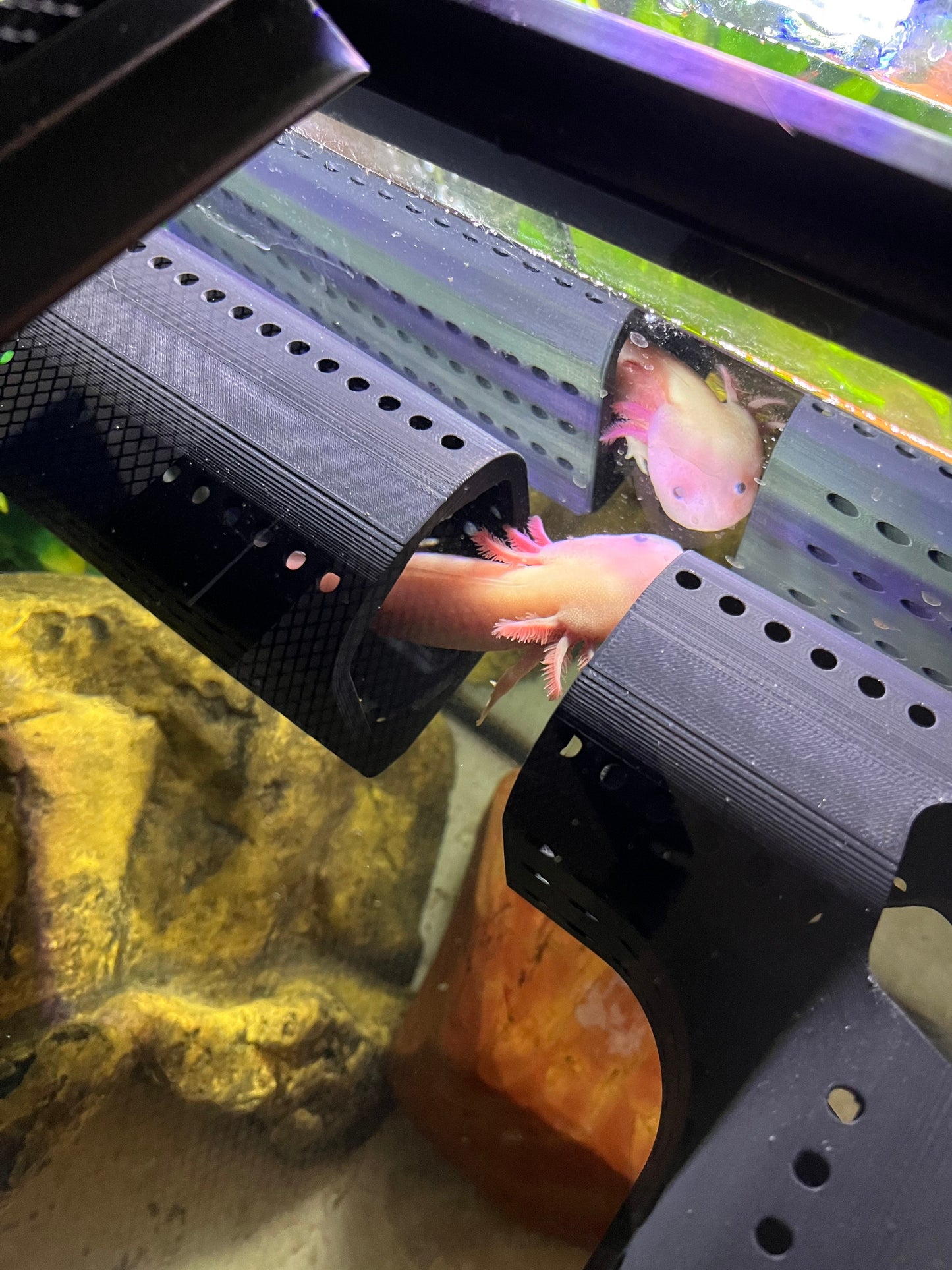 Straight Betta Home, Axolotl Home, Corner Fish Hide - Pet Safe 3D Printed ABS Plastic
