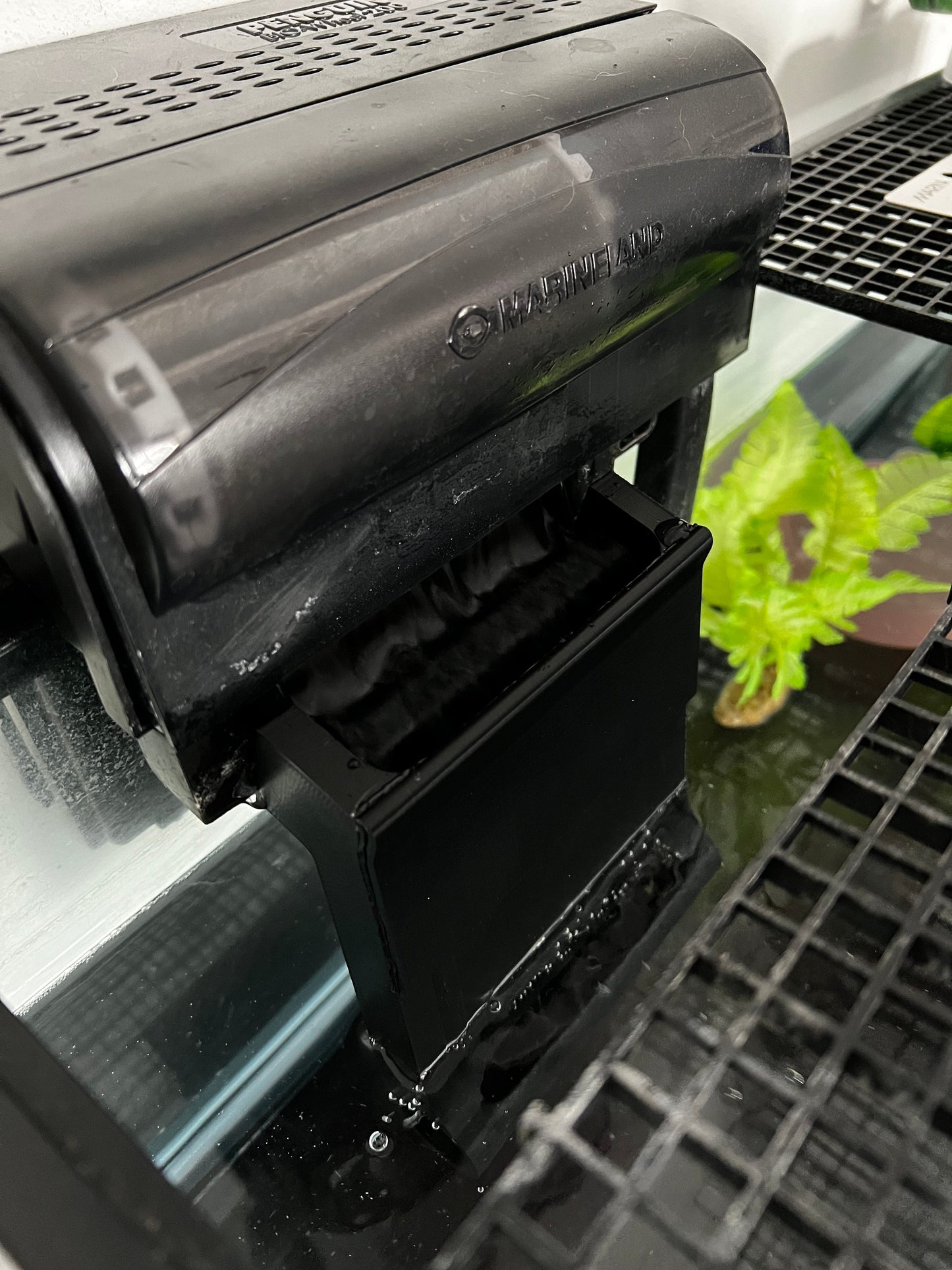 Penguin 200 Aquarium Filter Baffles - Pet Safe 3D Printed ABS Plastic