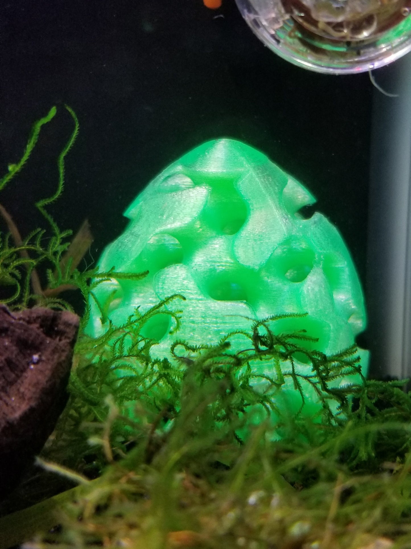 Shrimp Home, Hide, Cave! - Aquarium Safe 3D Printed ABS Plastic