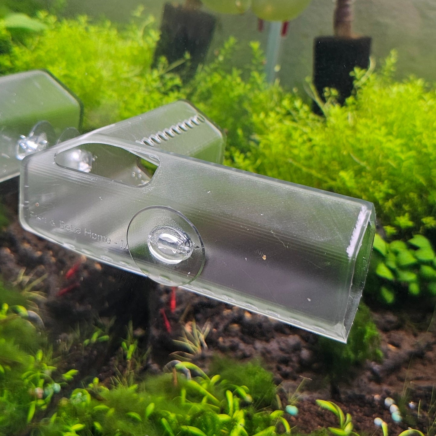 Curved Betta & Axolotl Home, Corner Fish Hide - CLEAR version - 3D Printed Plastic - Aquarium Safe!