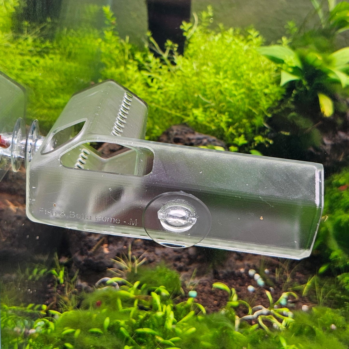 Curved Betta & Axolotl Home, Corner Fish Hide - CLEAR version - 3D Printed Plastic - Aquarium Safe!