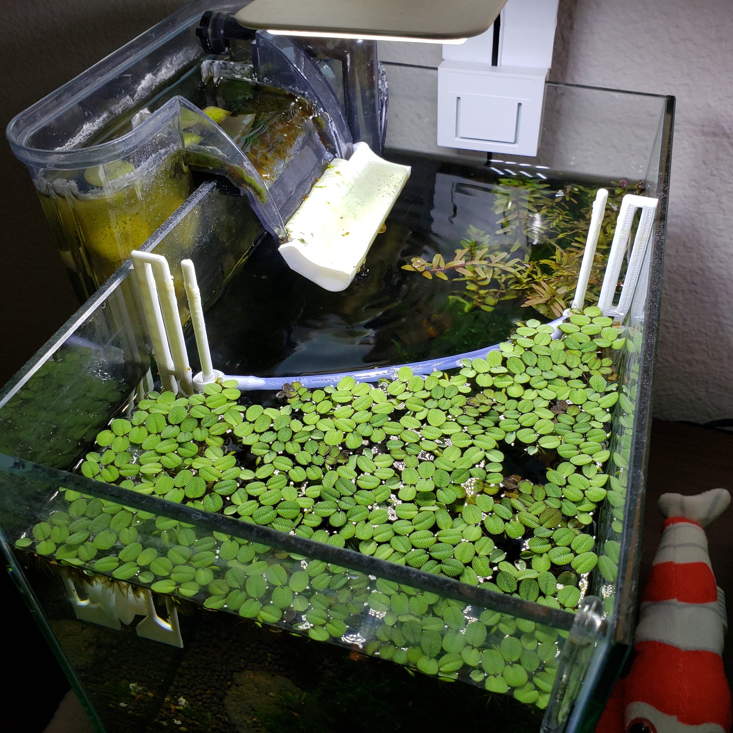 Aquarium Floating Plant Corral! - 3D Printed Plastic - Self Adjusting, Multiple sizes, and colors!