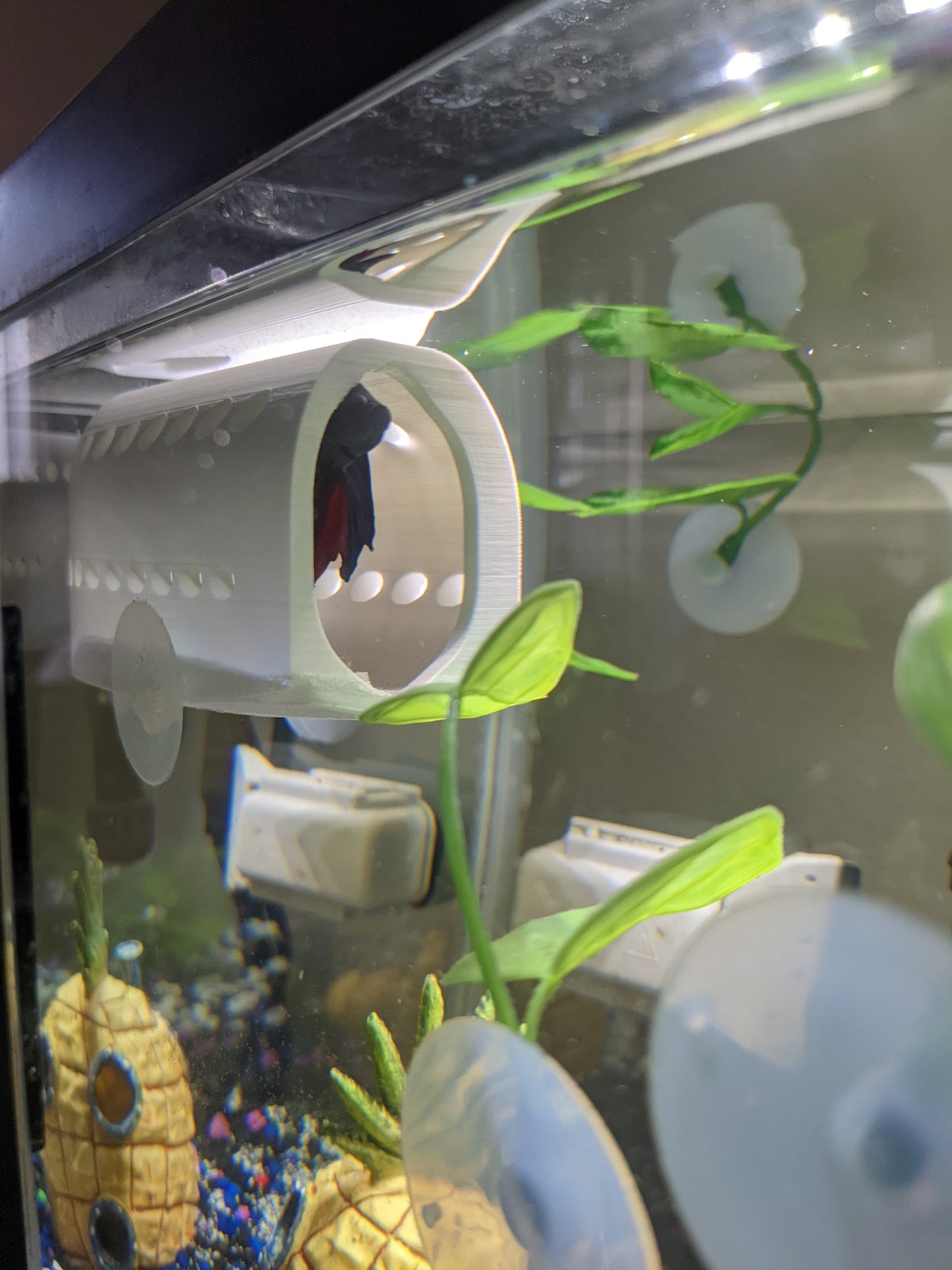 Curved Betta Home, Axolotl Home, Corner Fish Hide - Pet Safe 3D Printed ABS Plastic