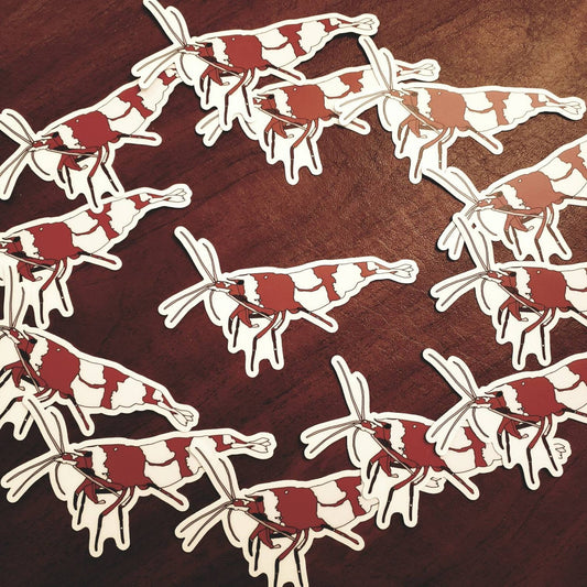 Crystal Red Shrimp Caridina Vinyl Sticker
